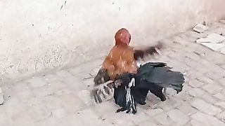 Oooooo