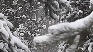 Snowfall sezan