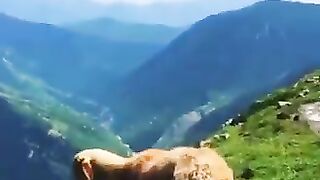 Beautiful world