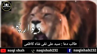 13 Rajab Coming Soon Status | Wiladat Mola Ali a.s Status | Mola Ali a.s Whatsapp Status | naqi shah