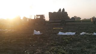Tractor Race patato new latest amazing vedio
