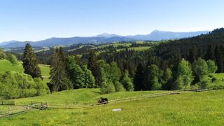 Natural Relax video or Relaxing Music Tunes