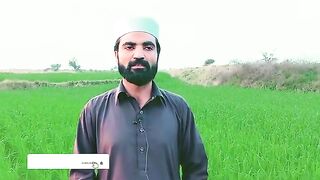 Teri Ik Chashm E @Rehmat Se Tera @Beemar Bahtar Ha