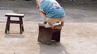 Funny Dog.