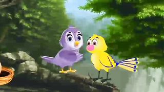 Birds interesting moral story