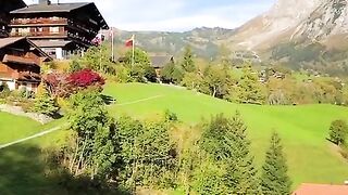 VID_20230127_204018_246.