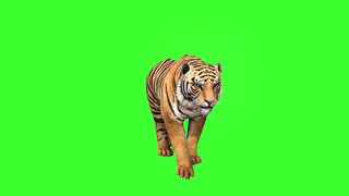 Cartoon videos avalaible  new funny videos my videos