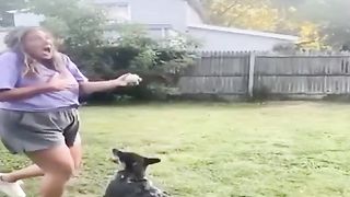 FUNNY ANIMAL VIDEOS THAT WILL MAKE YOU PEE YOUR PANTS - FUNNIEST ANIMALS VIDEOS#2023