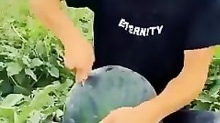 Amazing Fruits from the World