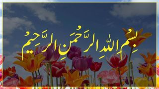 Is Raat Me 12 Rakat Nafil Is Tarhan Parheen| HadeesMubarak | Islam | Hadith | Part 5