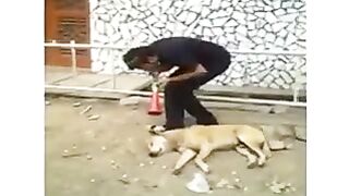 New Tik tok Funny Videos 2023 | | Funny tiktok  |Most Funny Viral Videos