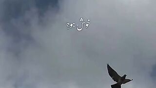 ALLAH PAK GIFT #VIRALVIDEO