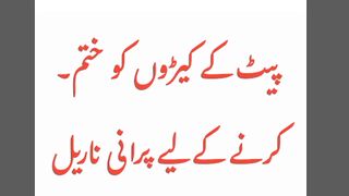 پیٹ کے کیڑوں کا علاج