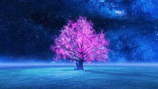"Soothing Sounds for Every Mood: Cool, Romantic, Pain-Less, and Morning Music"