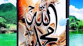 Pashto video pashto vines pashto page pashto channels