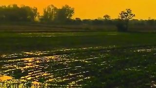 Natura video