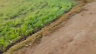 Natura video