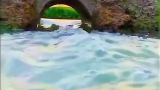 Natura video