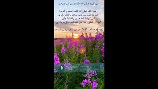 Hadees e nabvi
