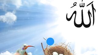 Islamic information||Islamic history|only factz