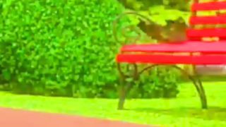 Cartoons for Kids