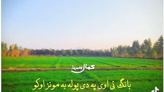 Shayre