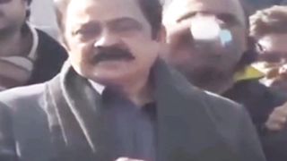 Funny video