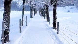 Beautiful view of nature 12