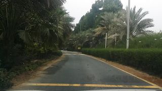 Drive through Al Barari