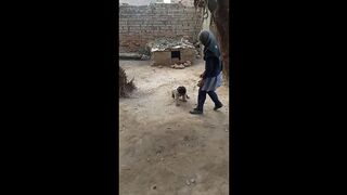 Beautiful scenes of children in slow motion