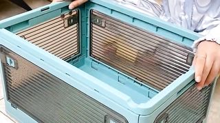 Smart Home gadgets video