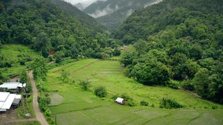 green valley