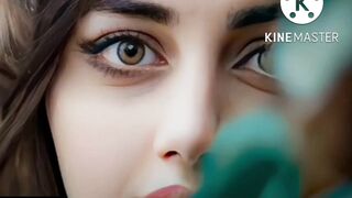 Bravhi Alim Masroor Song