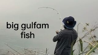 Fishing Tally the court