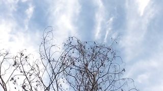 Beauty of nature