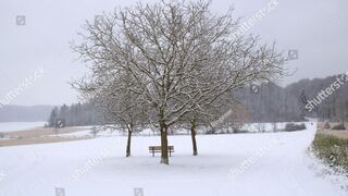 Snowstorm in the country side| heavy