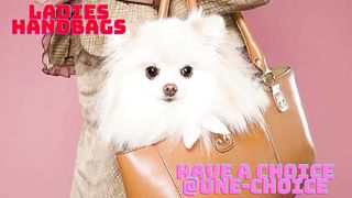 Ladies Hand Bags