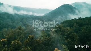 nature video