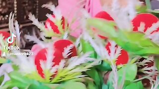Cut bhanja