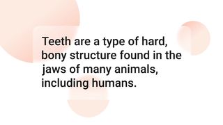 @@Teeth Definition For MBBS Student@@