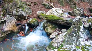 Beauty of Nature