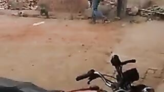Fun With Cat - Try Not to Laugh