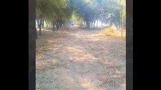 Mind blowing nature video i love this video is so beautiful