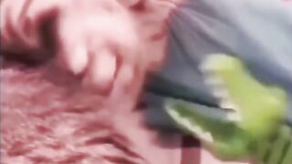 funny cat| funny pets channel | funny cat on febspot
