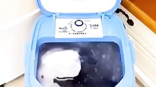 Mini semi Autometic Washing Machine
