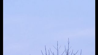 Color of Skye