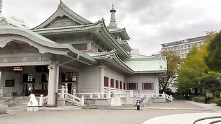 Beautiful Japan