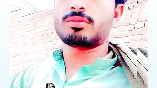 Whatsapp status