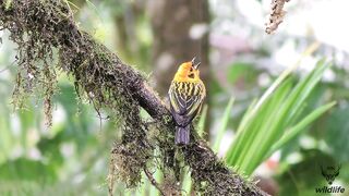 Our nature is so beautiful / nature photography