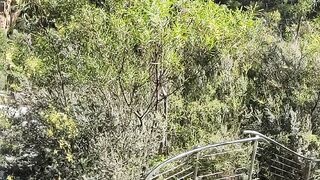 McKenzie water fall Grampians victoria Australia